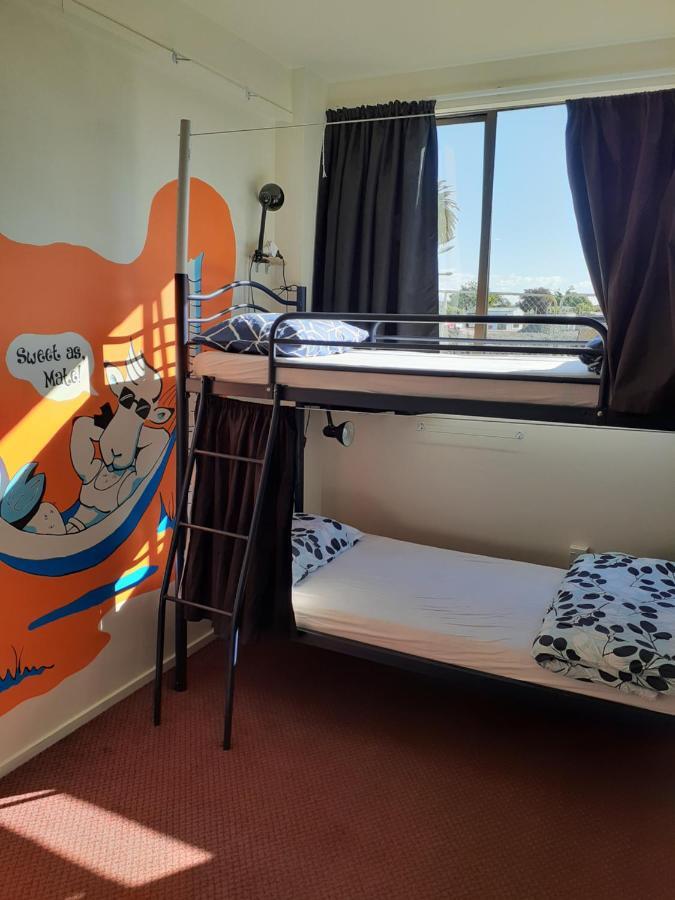 Bouncing Lamb Backpackers Hostel Nelson Exterior foto